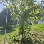 Casa De Nuna- Calefaccion, Naturaleza, Netflix *