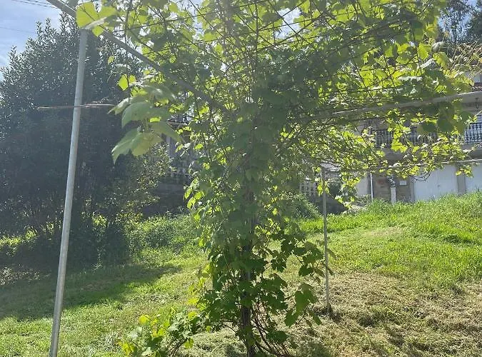 Casa De Nuna- Calefaccion, Naturaleza, Netflix *