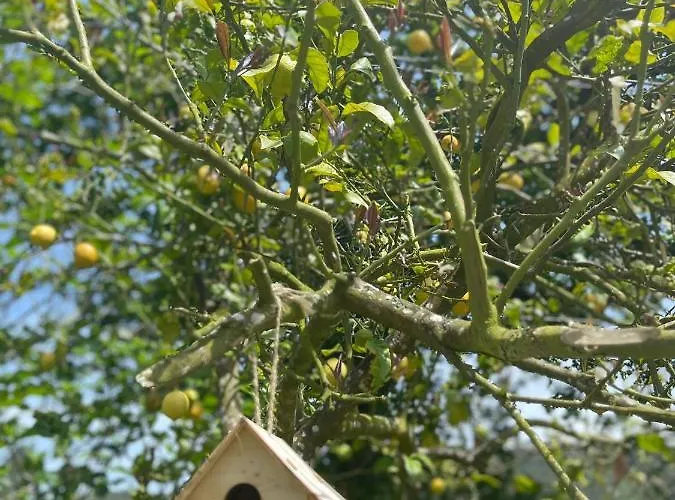 別荘 Casa De Nuna- Calefaccion, Naturaleza, Netflix *