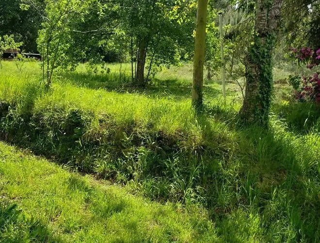 Casa De Nuna- Calefaccion, Naturaleza, Netflix *