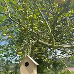 Ferienhaus Casa De Nuna- Calefaccion, Naturaleza, Netflix *