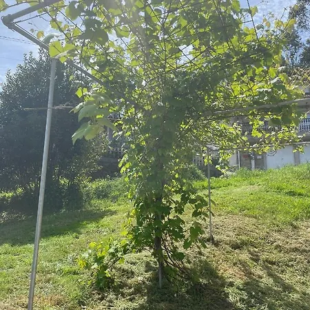 Casa De Nuna- Calefaccion, Naturaleza, Netflix *