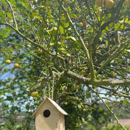 펜션 Casa De Nuna- Calefaccion, Naturaleza, Netflix *