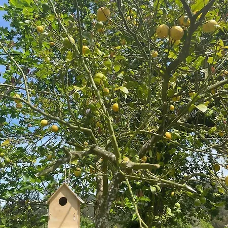 펜션 Casa De Nuna- Calefaccion, Naturaleza, Netflix *