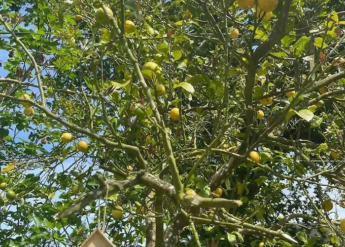 Casa vacanze Casa De Nuna- Calefaccion, Naturaleza, Netflix *
